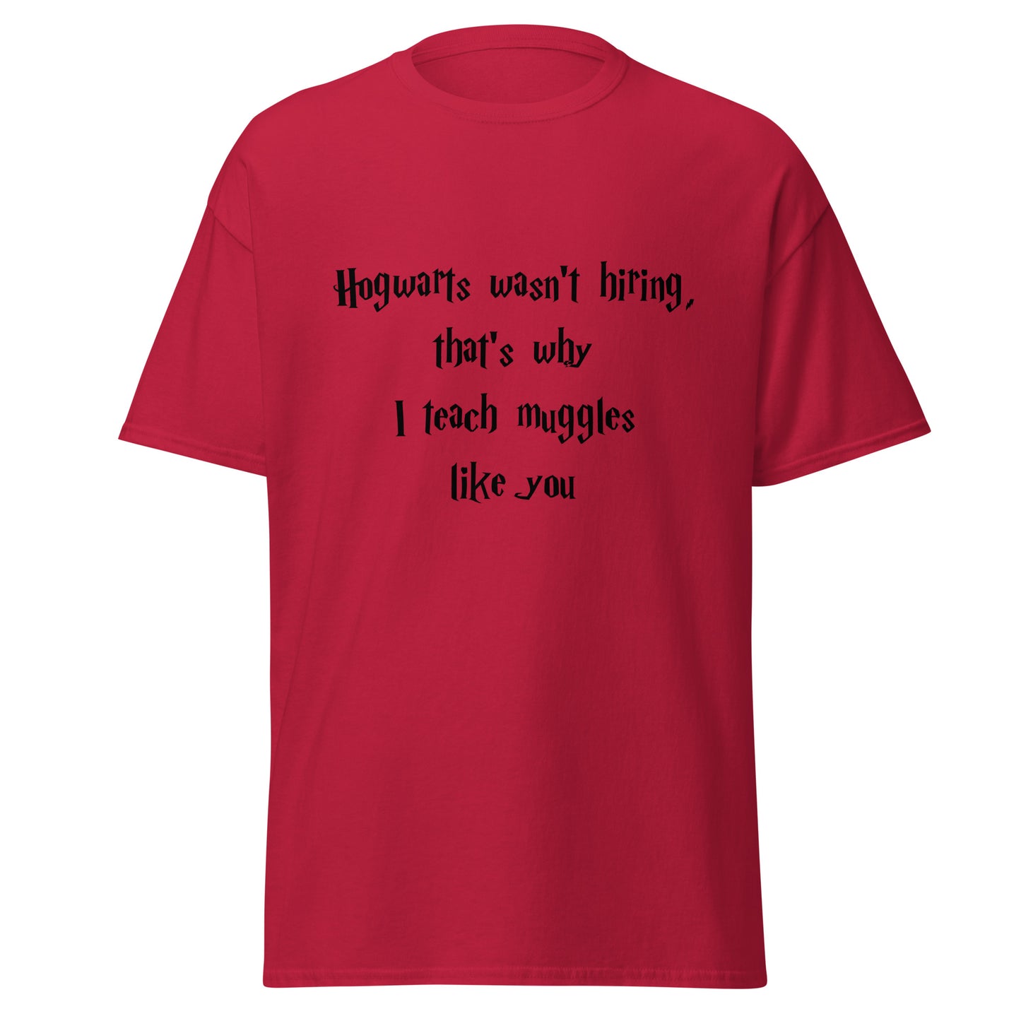 Hogwarts Wasn't Hiring Funny T-Shirt (Big and Tall)