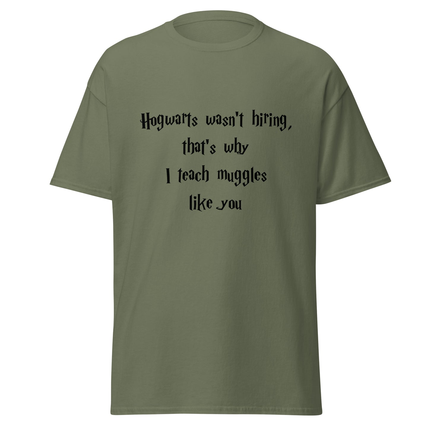 Hogwarts Wasn't Hiring Funny T-Shirt (Big and Tall)