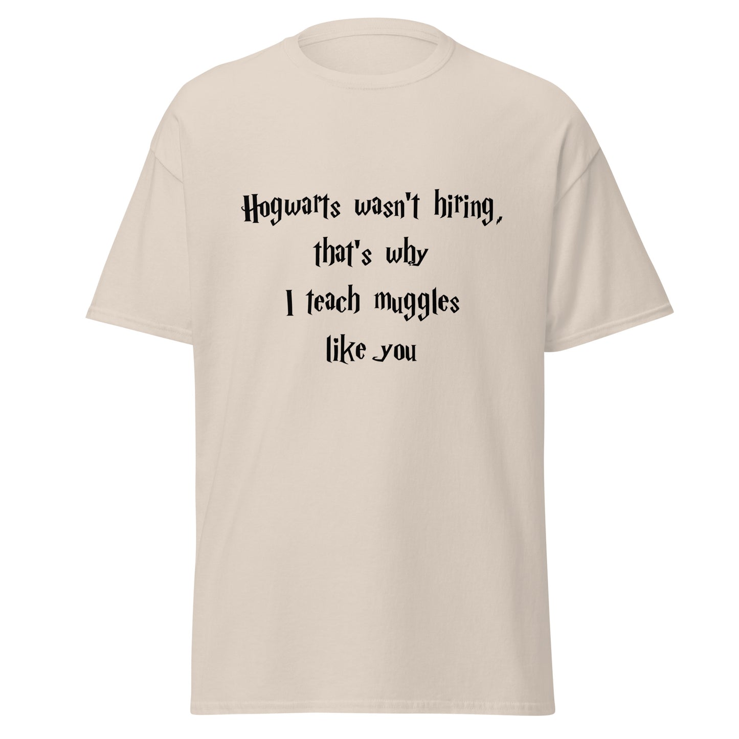 Hogwarts Wasn't Hiring Funny T-Shirt
