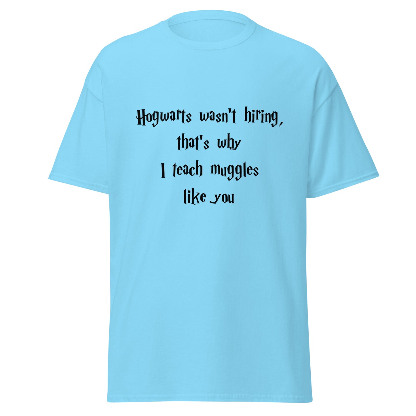Hogwarts Wasn't Hiring Funny T-Shirt (Big and Tall)