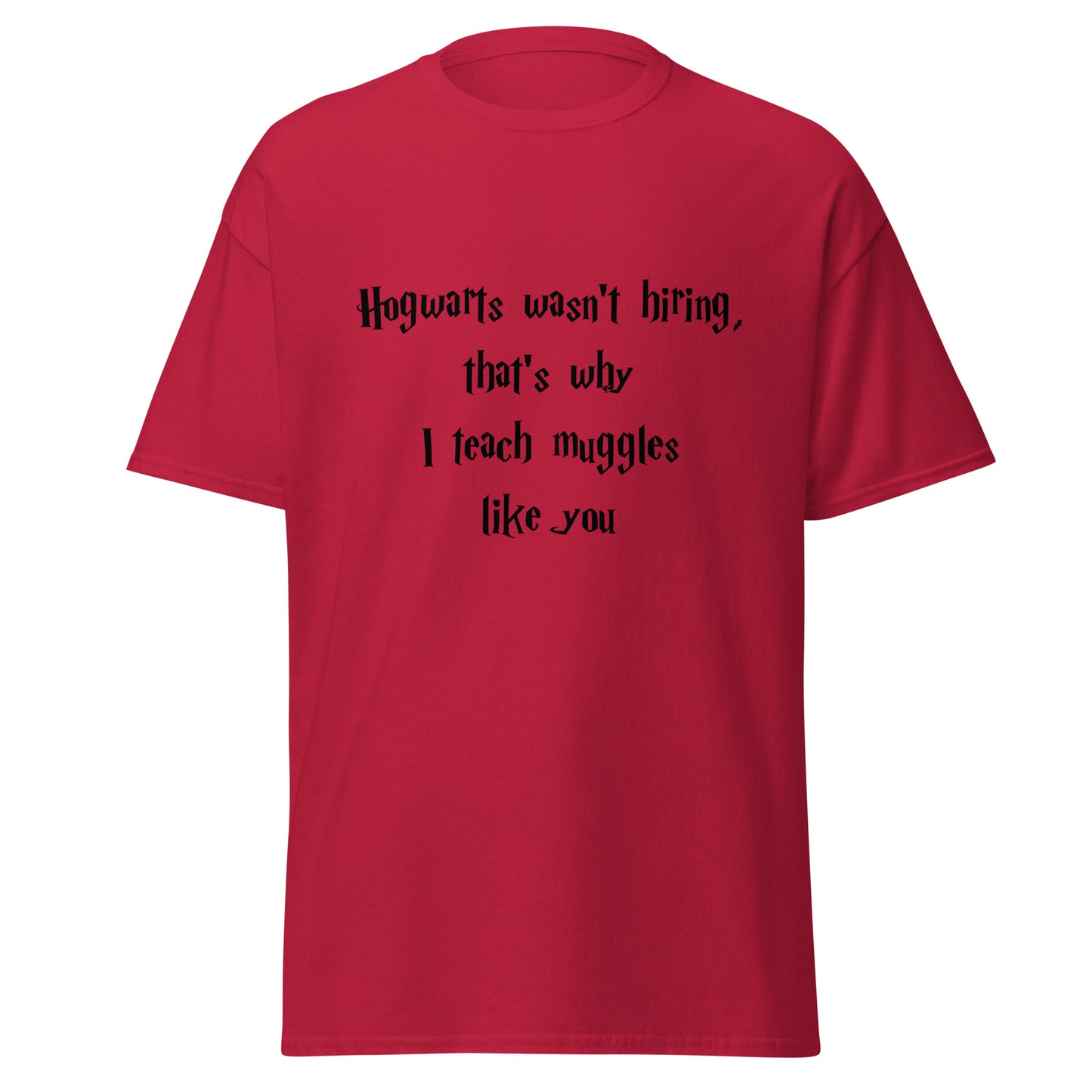 Hogwarts Wasn't Hiring Funny T-Shirt