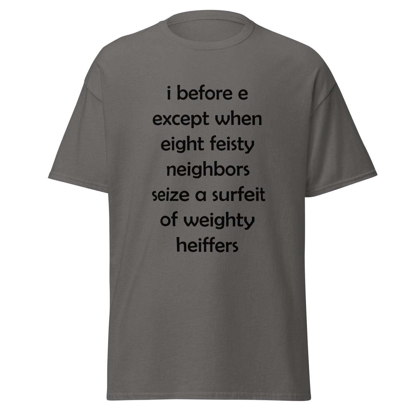 I Before E Funny T-Shirt (Big & Tall)