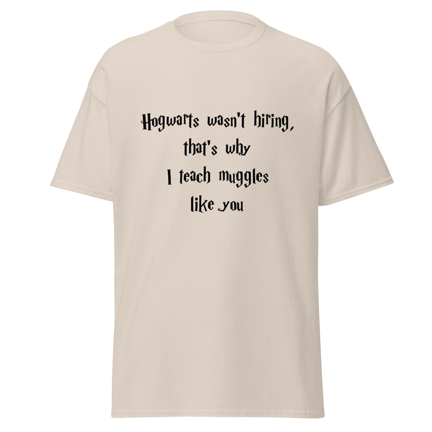 Hogwarts Wasn't Hiring Funny T-Shirt