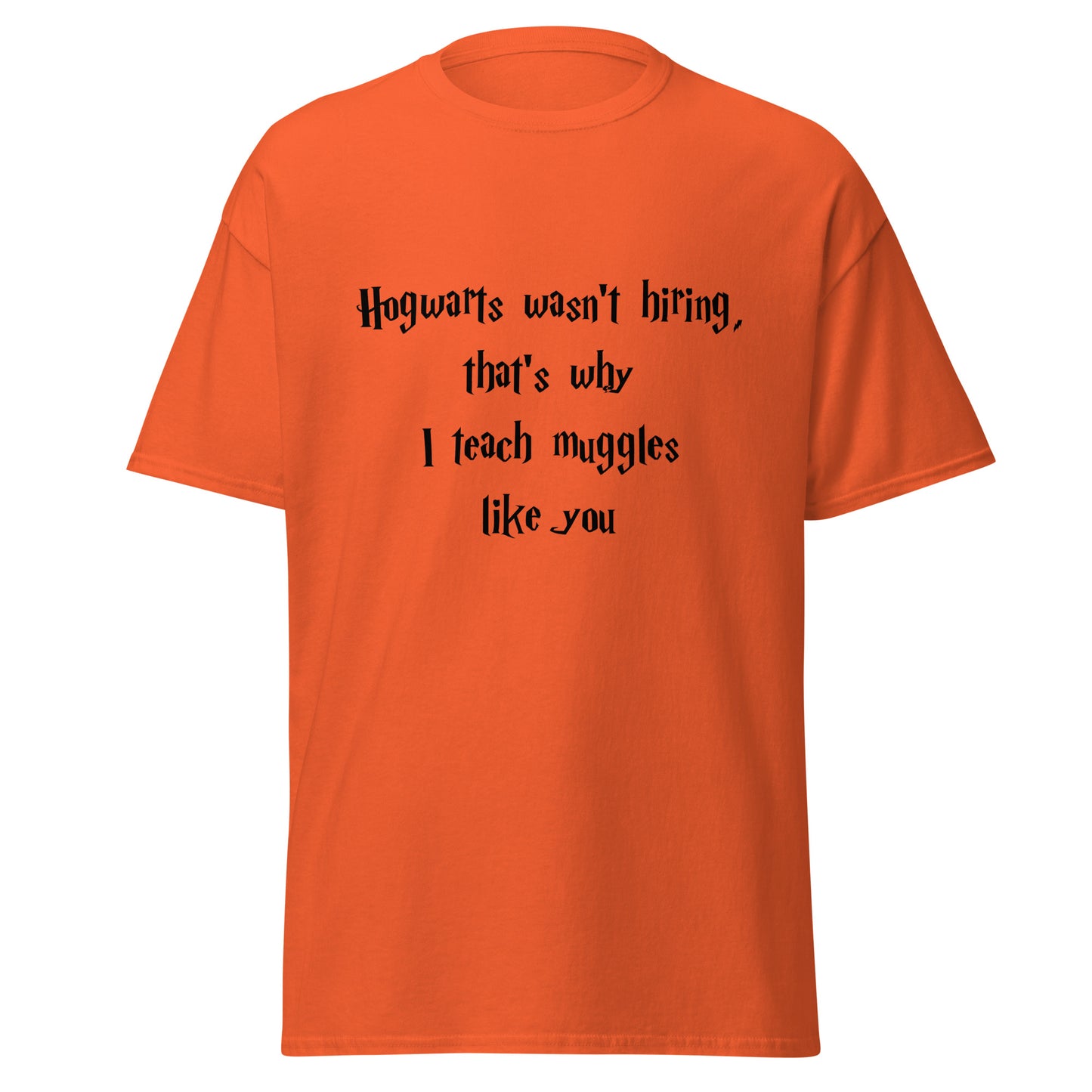 Hogwarts Wasn't Hiring Funny T-Shirt