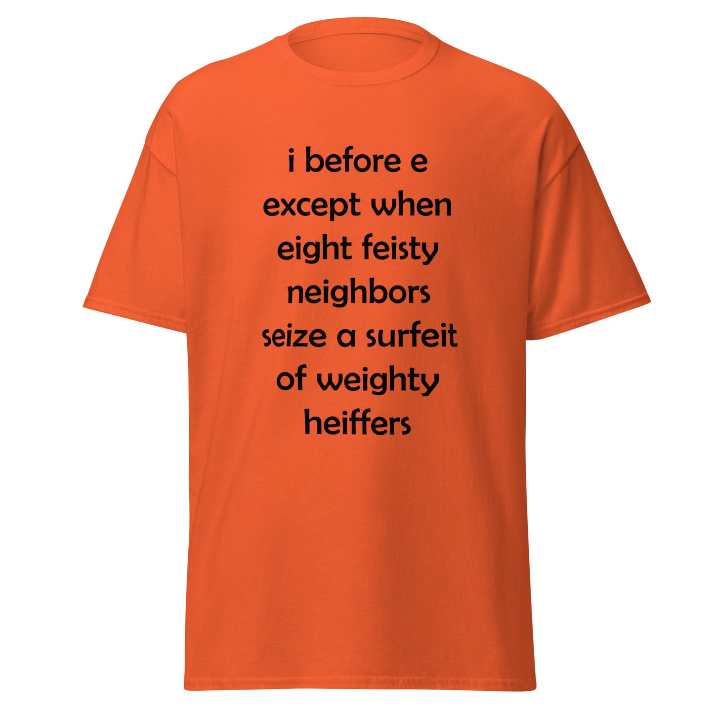 I Before E Funny T-Shirt (Big & Tall)