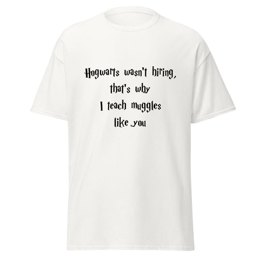 Hogwarts Wasn't Hiring Funny T-Shirt (Big and Tall)